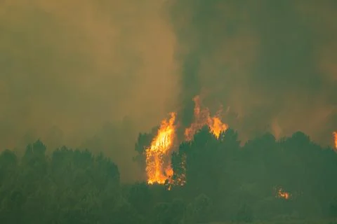 Wildfire destroying forest trees with thick smoke in spain Stock Photos
