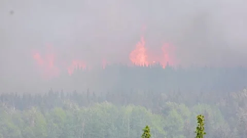 Wildfire - Destructive Fire Burning The Forest In Fox Creek, Alberta, Stockbeeldmateriaal 265838056