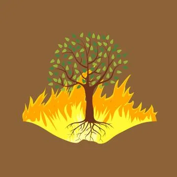 Wildfire disaster with burning forest tree. Vector illustration. Stock Illustration