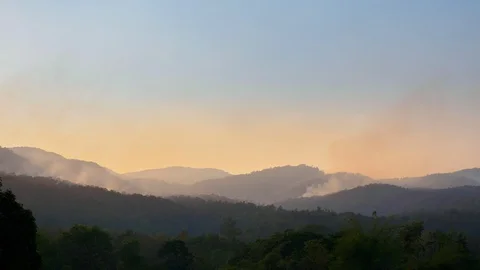 Wildfire disaster is burning forests on the mountains. Stock-Footage 129172084