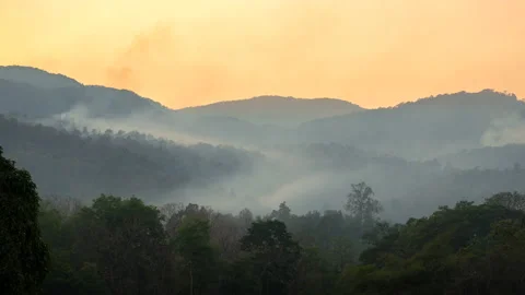 Wildfire disaster is burning forests on the mountains. Stock Footage 130907807