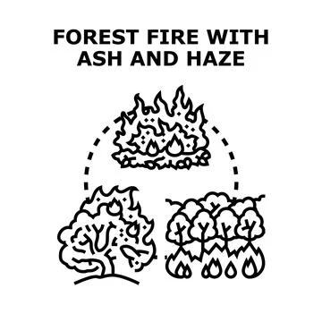 Wildfire disaster spreading, burning trees, ash and haze Stock-Illustration