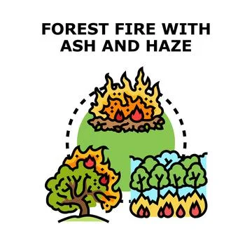 Wildfire disaster spreading, burning trees, ash and haze Stock-Illustration