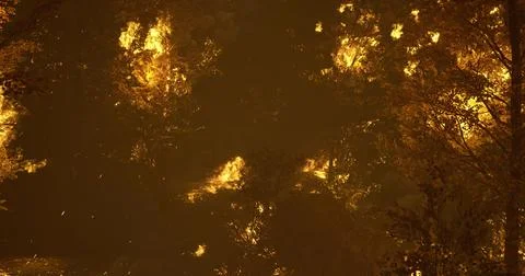 Wildfire engulfing forest during evening hours with bright flames and smoke Stock Illustration