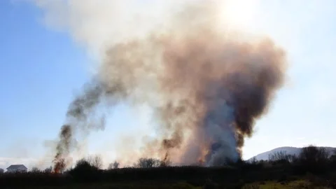 Wildfire in the field Stock Footage 162979897