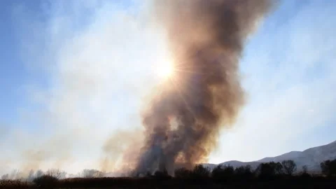 Wildfire in the field Stock Footage 162980005