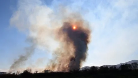 Wildfire in the field Stock Footage 162980049