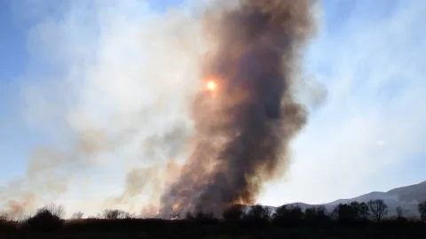 Wildfire in the field Stock Footage 162980076