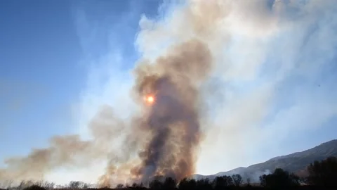 Wildfire in the field Stock Footage 162980088