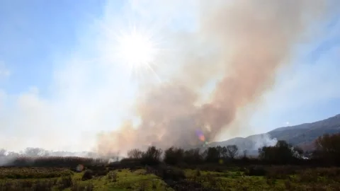 Wildfire in the field Stock Footage 162980136