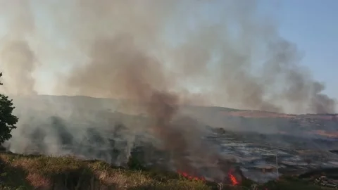 Wildfire. A Firefighter Helicopter passing by Stock Footage 157775088