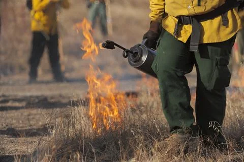 Wildfire Firefighter  Stock Photos