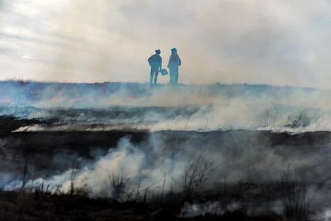 Wildfire Firefighters Stock Photos
