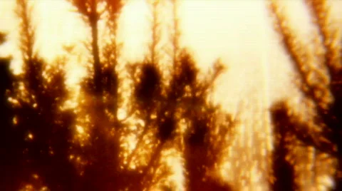 Wildfire, Firework bombing 04 down - Vintage 8mm film Stock Footage 658151