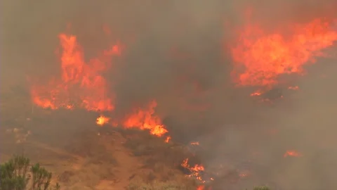 Wildfire flames burn valley of brush Stock Footage 219303993