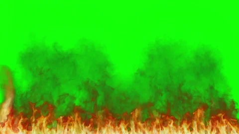Wildfire flames consuming dense forest vegetation with intense heat and smoke Vídeos de archivo 346198594