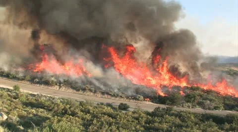Wildfire Flames, Forest Fully Engulfed by Fire 3 스톡 동영상 20501784