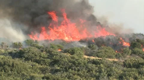 Wildfire Flames, Forest Fully Engulfed by Fire 4 스톡 동영상 20501790