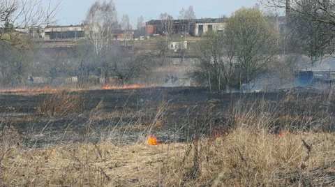Wildfire Flames, Forest Fully Engulfed by Fire Video stock 57381888