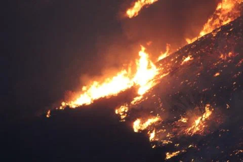 Wildfire Flames Stock Photos