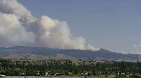 Wildfire Stock Footage 877382