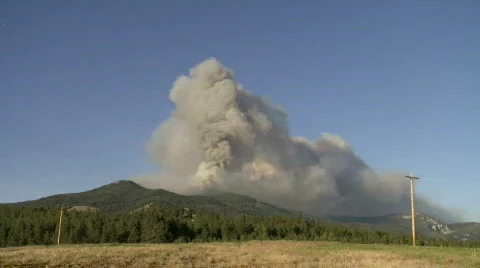 Wildfire Stock Footage 877474