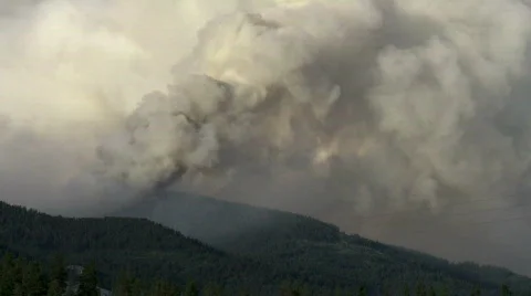 Wildfire Stock Footage 877539