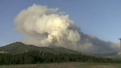 Wildfire Stock Footage 877562