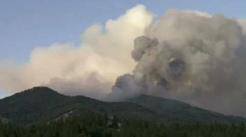 Wildfire Stock Footage 877567