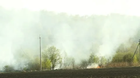 Wildfire Stock Footage 11042809