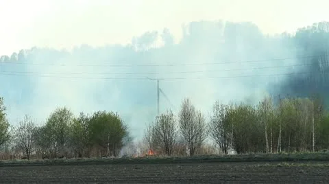 Wildfire Stock Footage 11042829