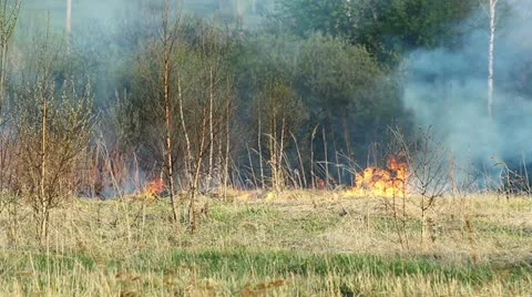Wildfire Stock Footage 11042974