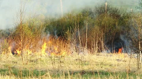 Wildfire Stock Footage 11043033