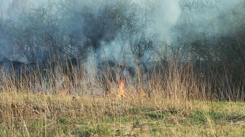 Wildfire Stock Footage 11043188