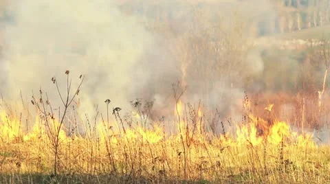 Wildfire Stock Footage 11043650