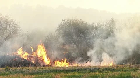 Wildfire Stock Footage 11043851