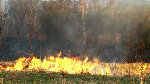 Wildfire Stock Footage 11043915