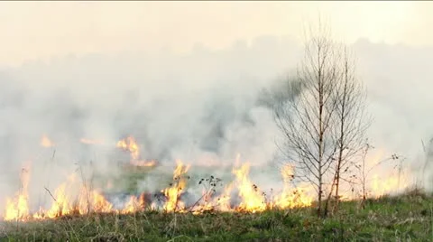 Wildfire Stock Footage 11044031