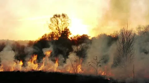 Wildfire Stock Footage 11044142