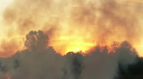 Wildfire Stock Footage 11044277