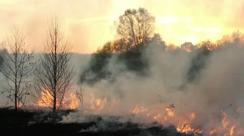 Wildfire Stock Footage 11044322