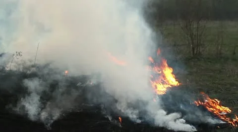 Wildfire Stock Footage 11044408