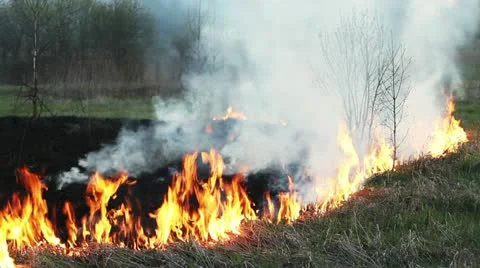 Wildfire Stock Footage 11044656