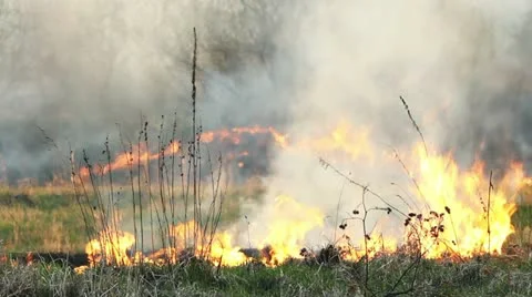 Wildfire Stock Footage 11044752