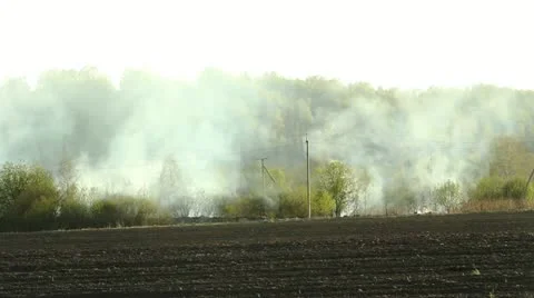 Wildfire Stock Footage 11047693