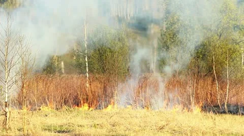 Wildfire Stock Footage 11047771