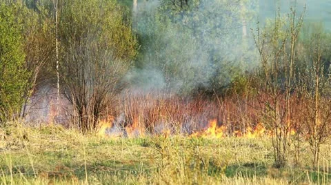 Wildfire Stock Footage 11047773