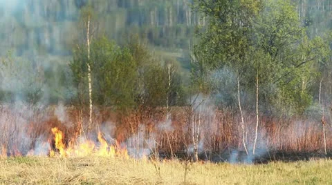 Wildfire Stock Footage 11047777