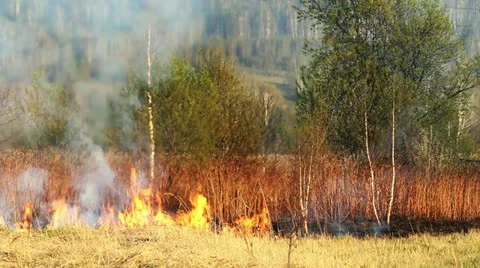 Wildfire Stock Footage 11047779