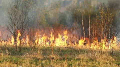 Wildfire Stock Footage 11047826